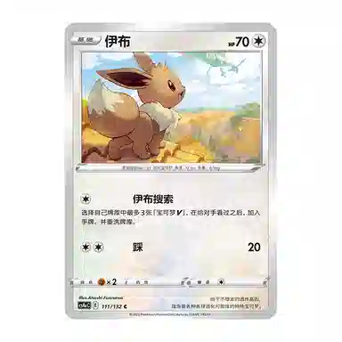 POKEMON PTCG