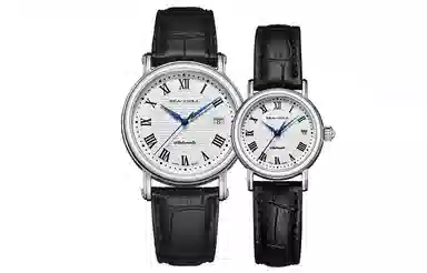 Sea-Gull 819.368+819.368L