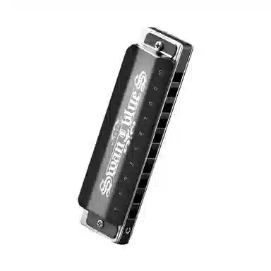 (Swan) 10CBlues Paddy