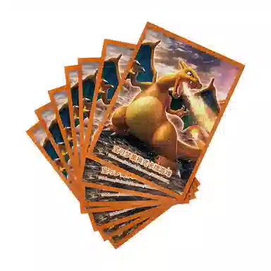 POKEMON PTCG