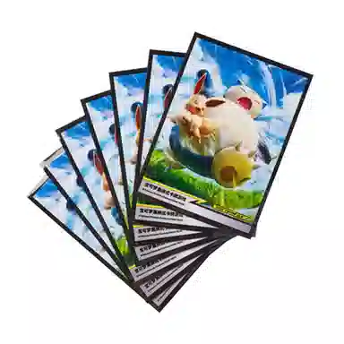 POKEMON PTCG