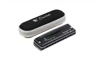 (Swan) 10Blues Paddy