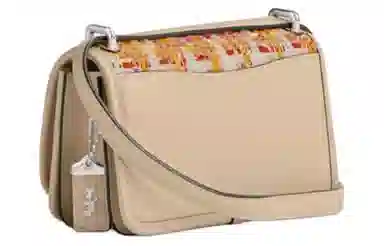 COACH Bandit 18