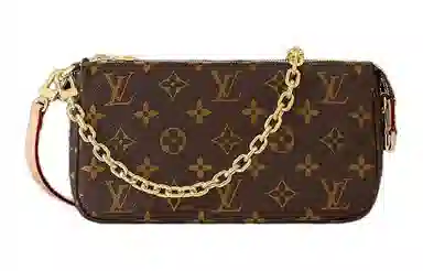 Louis Vuitton Pochette Accessoires
