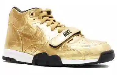 Nike Air Trainer 1 Super Bowl 50