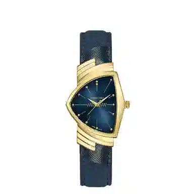 HAMILTON 32.3*50.3mm PVD H24301941