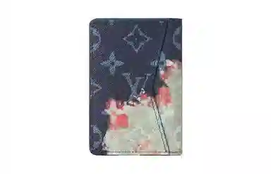 LOUIS VUITTON POCKET ORGANIZER