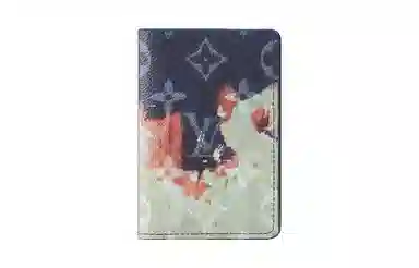 LOUIS VUITTON POCKET ORGANIZER