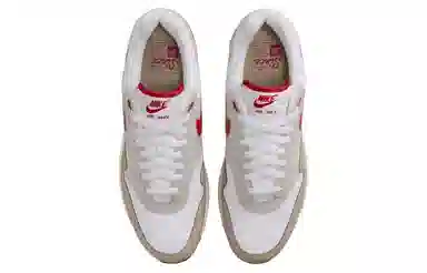 Nike Air Max 1