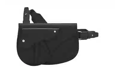 DIOR Saddle