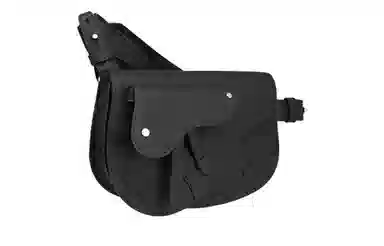 DIOR Saddle