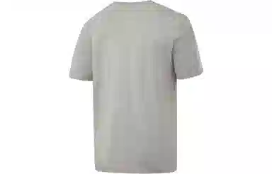 Reebok Linear Read Grey