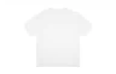 Vision Street Wear T