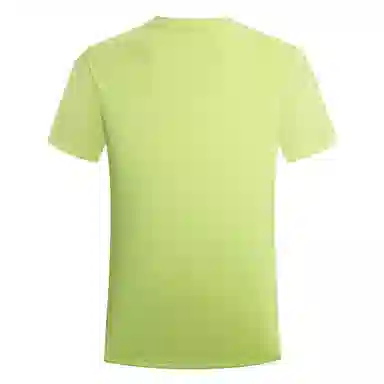 NORTHLAND PROFESSIONAL T