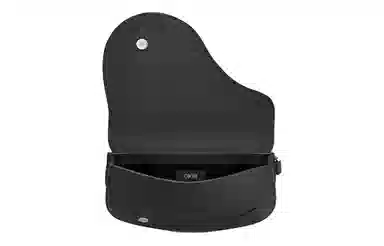 DIOR Saddle