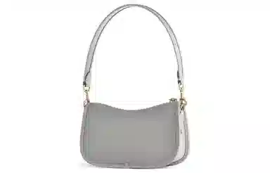 COACH Swinger 20
