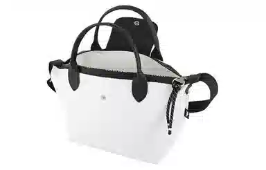 LONGCHAMP Le Pliage Energy 25