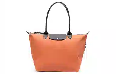 Longchamp Le Pliage Energy