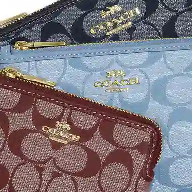 COACH Corner Zip 20