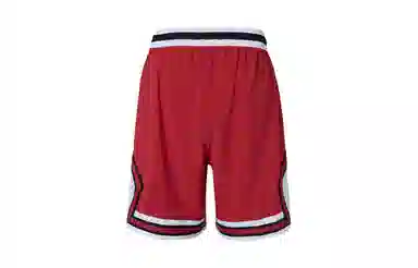 Jordan Dri-FIT Sport Logo
