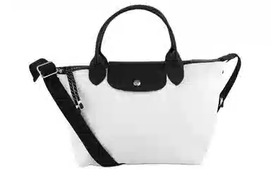 Longchamp Le Pliage Energy 17