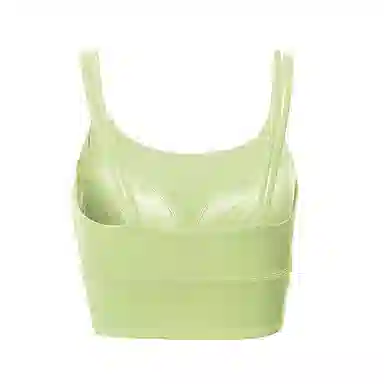 达兹 纯色防震固定胸垫跑步不上滑美背瑜伽健身运动内衣 女款