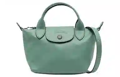 LONGCHAMP Le Pliage Xtra 17
