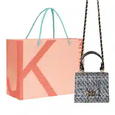 JANE KLAIN Mini Chain Bag