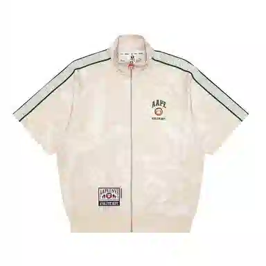 Aape