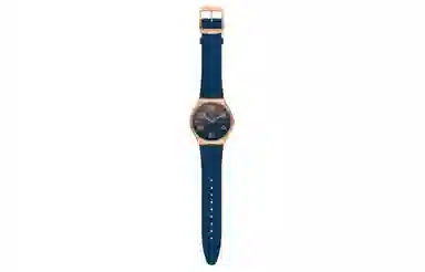 SWATCH SKIN 30 42mm SS07G101