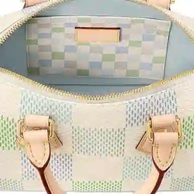 LOUIS VUITTON Speedy 20