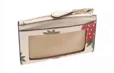 COACH Mini Id Skinny