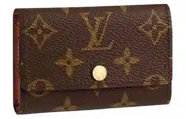 LOUIS VUITTON LV6