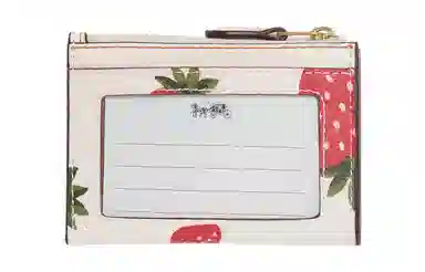 COACH Mini Id Skinny