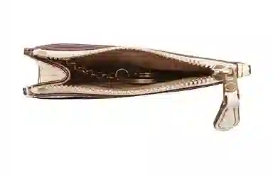 COACH Mini Id Skinny