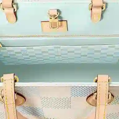 Louis Vuitton Onthego MM