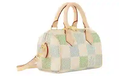 LOUIS VUITTON Speedy 20