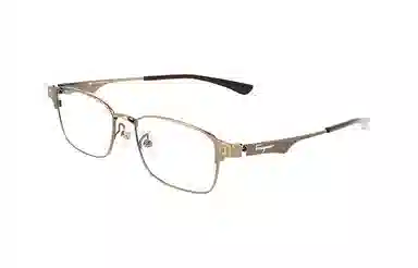 FERRAGAMO SF999.9 logo