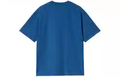 Carhartt WIP Mist T-Shirt T