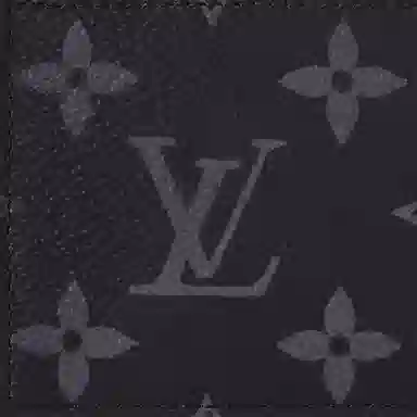 LOUIS VUITTON Coin