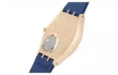 SWATCH SKIN 30 42mm SS07G101