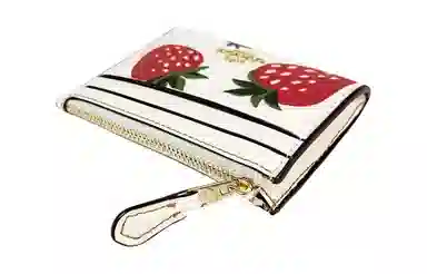 COACH Mini Id Skinny