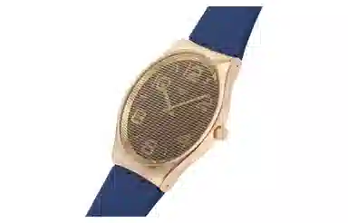 SWATCH SKIN 30 42mm SS07G101