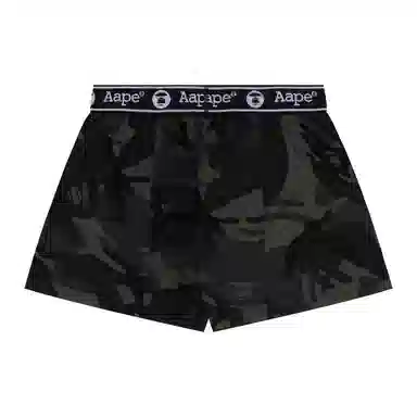 Aape 1