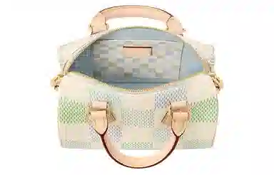 LOUIS VUITTON Speedy 20