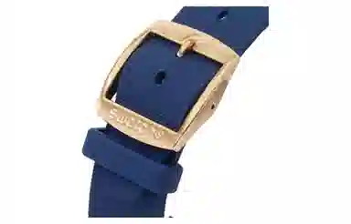 SWATCH SKIN 30 42mm SS07G101