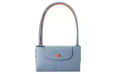 LONGCHAMP Le Pliage 31