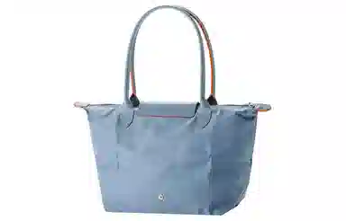 LONGCHAMP Le Pliage 31