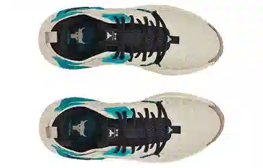 Under Armour Project Rock 6