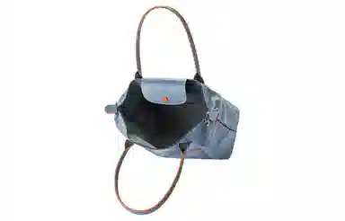 LONGCHAMP Le Pliage 31